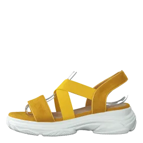 495702 54 Yellow